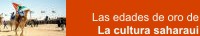 Las edades de oro de la cultura saharaui   