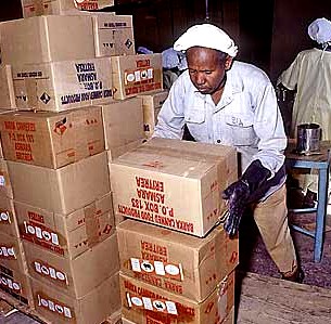 Horticultural products from Eritrea being prepared for export markets.