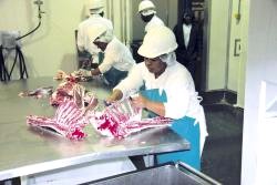 High quality lamb processed for the Norwegian market in Mariental, Namibia