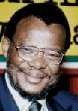 Inkatha leader and Minister of Home Affairs, Mangosuthu Buthelezi