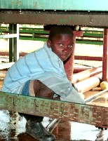 10-years old Saresh Milane (Photo: Sizwe samaYende / AENS)