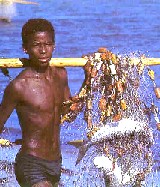 Imraguen fisherman. Photo: WWF.