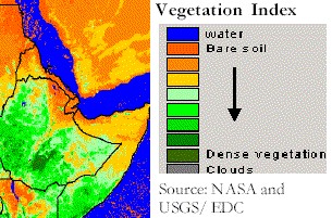 FEWS illustration