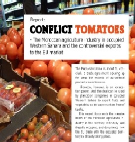 Informe 'Conflict Tomatoes'