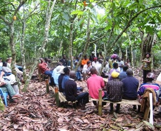 Representantes de la industria y cultivadores de cacao en Ghana
