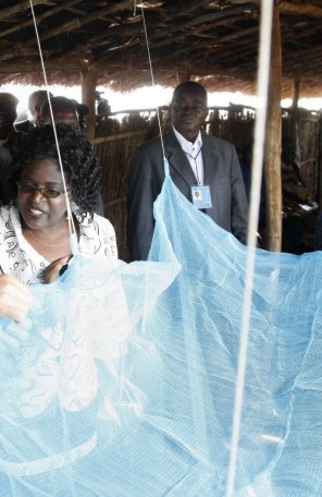 Mosquito nets are considered the best protection against malaria